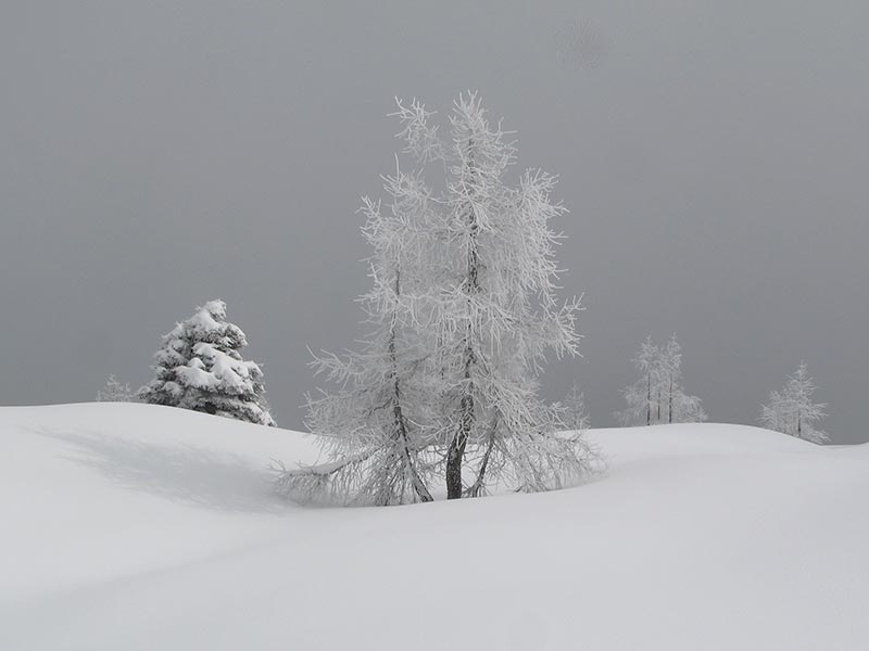 hochmuehleck